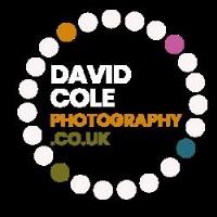 David Cole Photography image 1